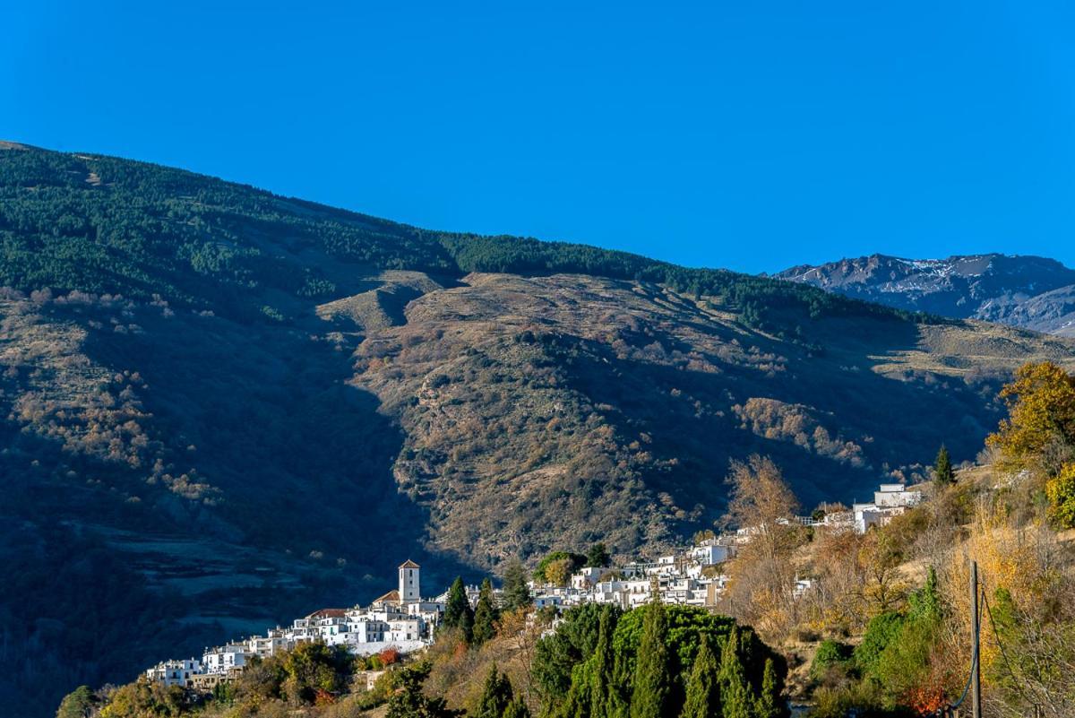 Apartamento Casa Manuela En Capileira - Alpujarra Eksteriør bilde